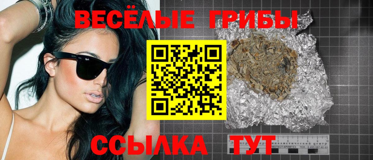 Псилоцибиновые грибы прущие грибы Кимры