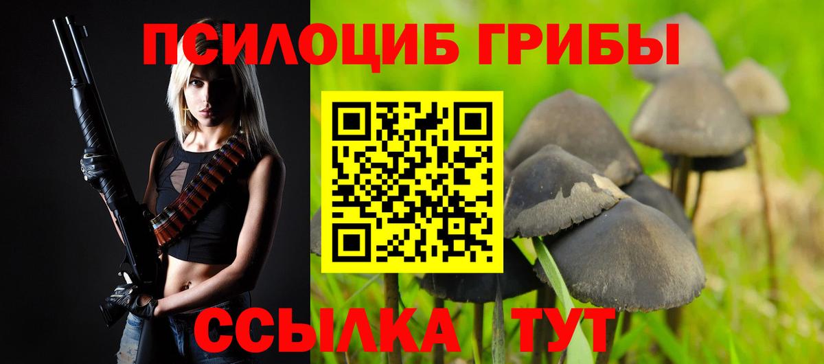 Галлюциногенные грибы Cubensis  Кимры 