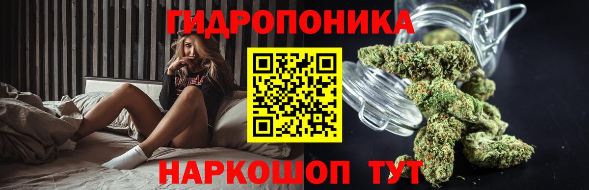 Канабис планчик  Бошки марихуана MAZAR  Кимры 